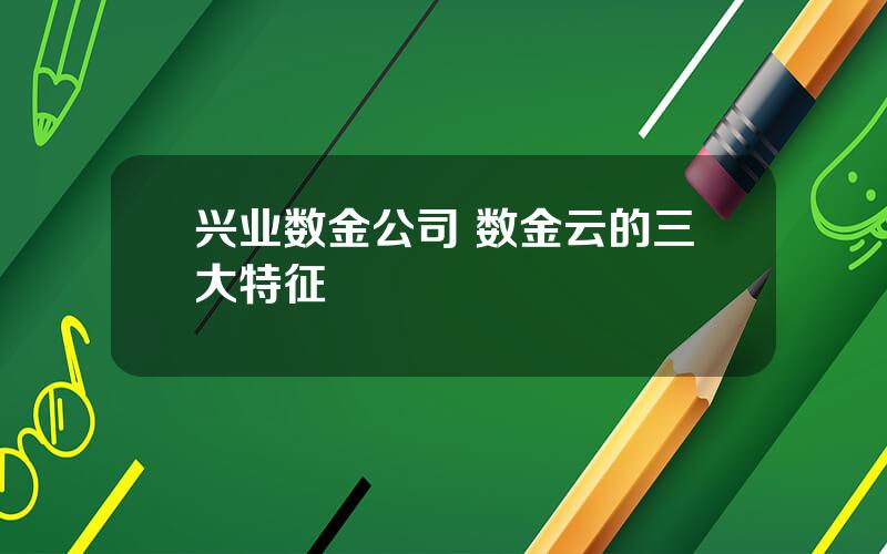 兴业数金公司 数金云的三大特征